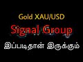 XAUUSD Gold live signal group update | Live signal in gold tamil | Smart money concept forex 