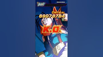 EZA LR Super 17 K.O. Screen
