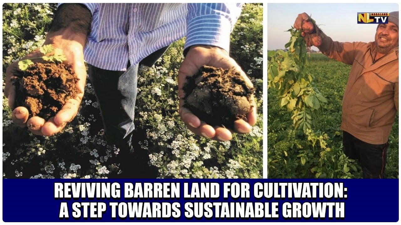 REVIVING BARREN LAND FOR CULTIVATION: A STEP TOWARDS SUSTAINABLE GROWTH