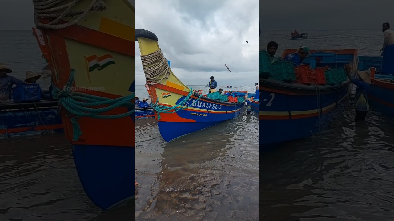 പരപ്പനങ്ങാടി ബീച്ചിലെ കാഴ്ചകൾ #fishing #fisherman #seafishing #fish #shorts 24.6.26