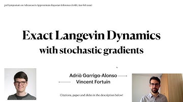 Exact Langevin Dynamics with stochastic gradients (AABI 2021)