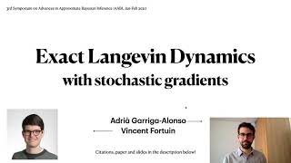 Exact Langevin Dynamics with stochastic gradients (AABI 2021)