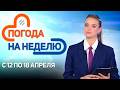 ТЕПЛО ВОЗВРАЩАЕТСЯ Погода в Беларуси с 12 по 18 апреля Плюс минус 
