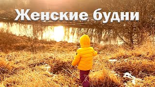 ЖБ/украли петухов/отрезала косу/одни дома