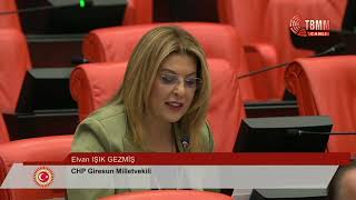 Elvan Işik Gezmi̇ş - 23. Birleşim 284