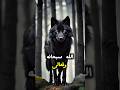 حكم وأقوال ملهمه عن واقع الحياة حكم أقوال إلهام تحفيز نصائح حياتية