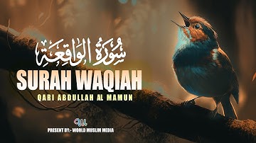 Surah Al Waqiah Qari Abdullah Al Mamun سورة الواقعة حافظ عبد الله المأمون