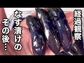 作ったなす漬けのその後はどうなるの？なす漬けの変化を観察してみました。