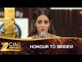 Salman Khan Honors SRIDEVI Kapoor | Zee Cine Awards 2017