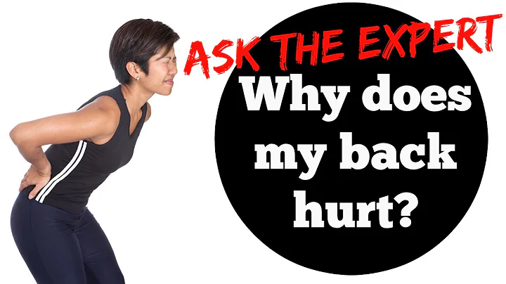 Why Does My Back Hurt? | Interview w/Back Pain Spe...