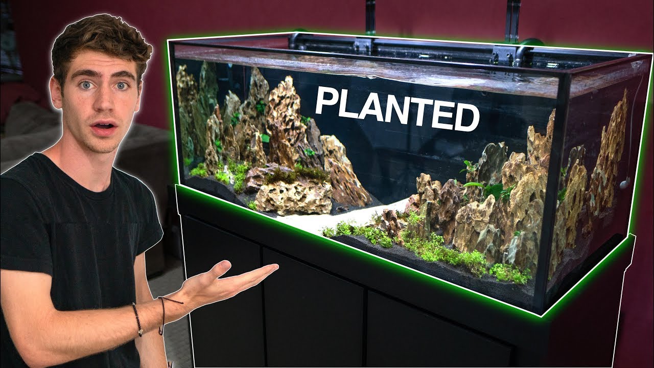 My *NEW* DREAM AQUARIUM BUILD!! - (Freshwater) 