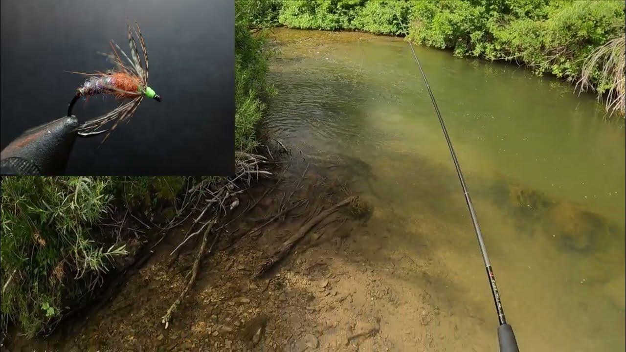 I can i can't. A fish can swim 2 класс. I can sing картинки. I can jump презентация. A fish can t.