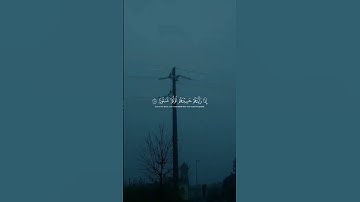 من أروع التلاوات للقارئ الشيخ محمد اللحيدان | عينا فيها تسمى سلسبيلا ♥✨ #quran #اكسبلور #fouryou