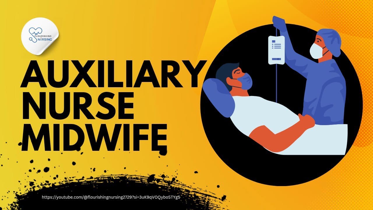 AUXILIARY NURSE MIDWIFE MEANING visual data 6
