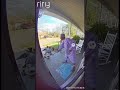 Grandmother Fights Off Alligator 😳