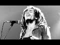 Bob Marley The Wailers Jungle Fever Remastered Extended Mix mp3