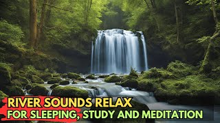 Relaxing River Sounds 💐 Riparian Respite, ASMR Sounds for Restful Sleep, Nature's Lullaby Dreamland