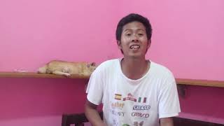 The Inspirator - Cat Lovers In The World