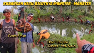 LUAR BIASA ❗ BELUM PERNAH ADA SPOT MANCING BELUT SEBANYAK INI HANYA DIPETAKAN KECIL