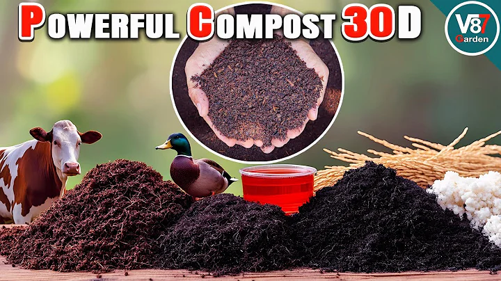 How to Make Powerful Organic Compost from Cow and Duck Manure | Easy Step-by-Step Guide