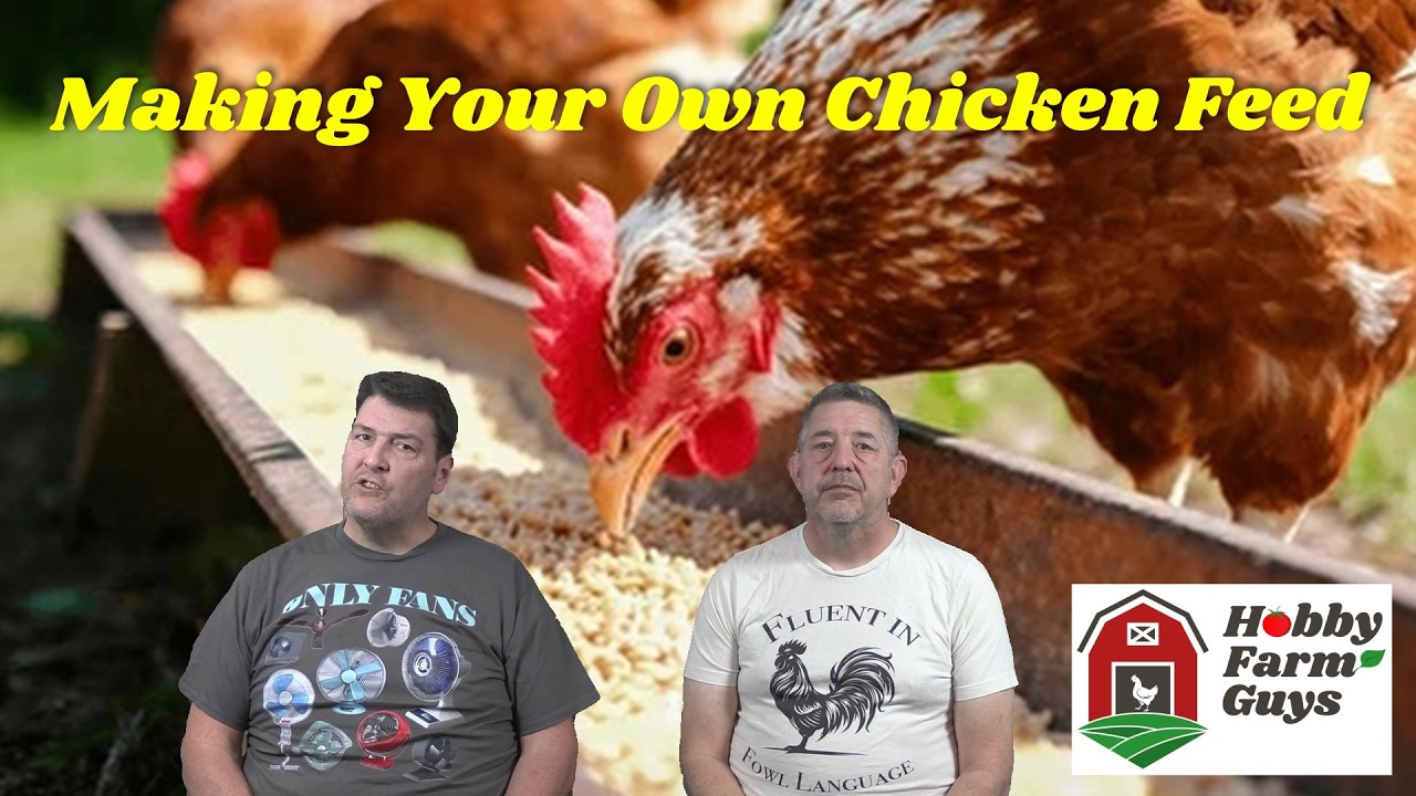 Приготовление собственного корма для кур — включая наш базовый рецепт! [Классический HFG]
