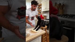 Il grembiule lo raffigurava Lui l’ha coperto di impasto 🍕😼👕