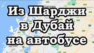 Как доехать из Шарджи в Дубай на автобусе