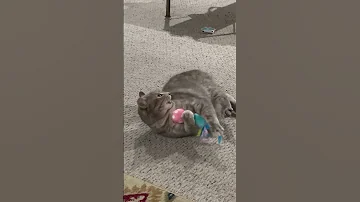 7 29 25 