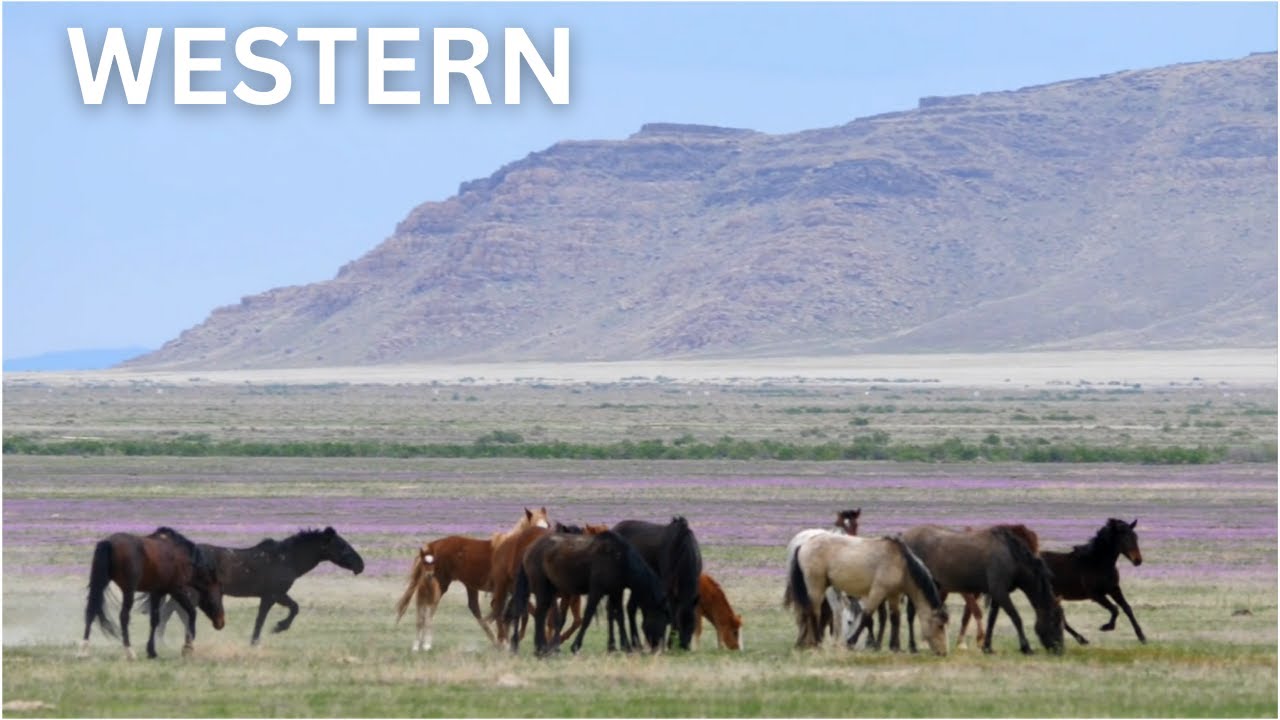 WESTERN: Mysterious Places of the WESTERN US Hidden Natural Wonders | 4K Travel Documentary