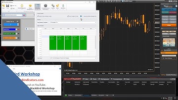 BlackBird - Two Ways to Create a Time Based Exit - for NinjaTrader