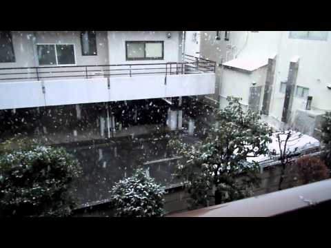 2014年2月４日　東京にもゆきふったよん！