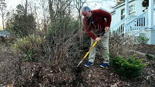 Preparing Plants to be Transplanted - Root Pruning - Five Minute Friday