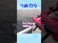 【#うおロケ】未公開シーンpart71:本当にお魚いたもん!【#うおむすめ】 #vtuber #shorts
