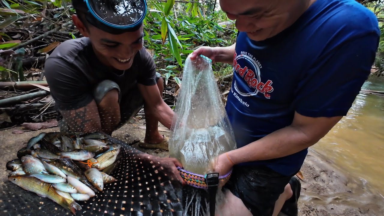 CHEK BUBU PLASTIK DAPAT HASIL SANGAT LUMAYAN // AKTIVITI ANAK KAMPUNG BORNEO //