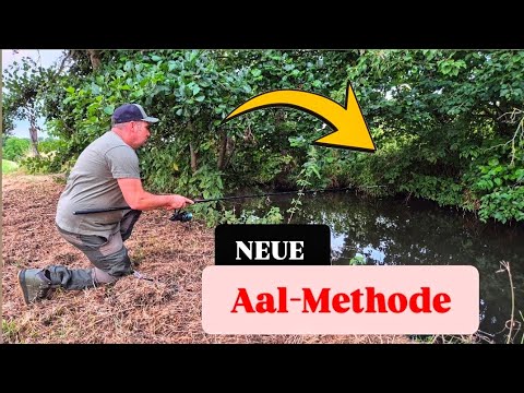 So hast DU GARANTIERT NOCH NIE auf AAL geangelt - Christian wollte diese Methode nicht verraten!