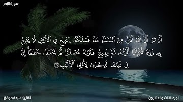 سورة الزمر كاملة مكتوبة للقارئ "عبيدة موفق"