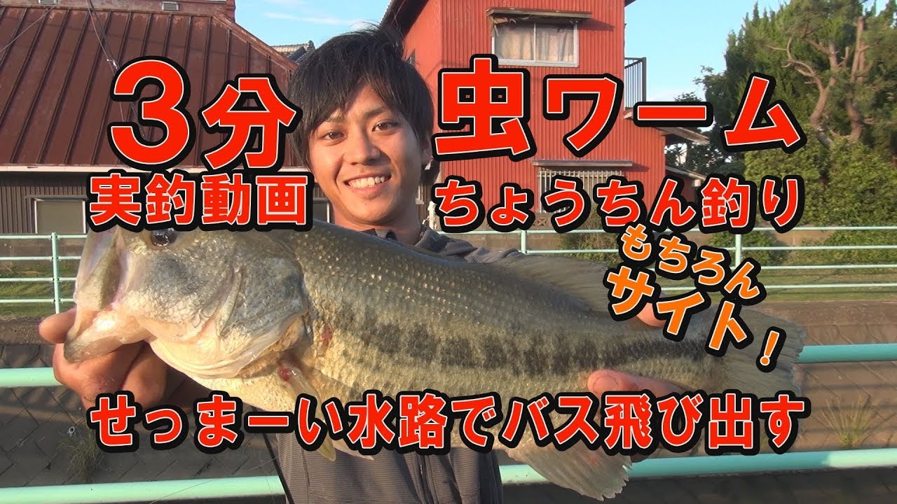 小さな水路で40アップのバスをサイトでキャッチ 虫ワームのちょうちん釣り ３分バス釣り動画 Youtube