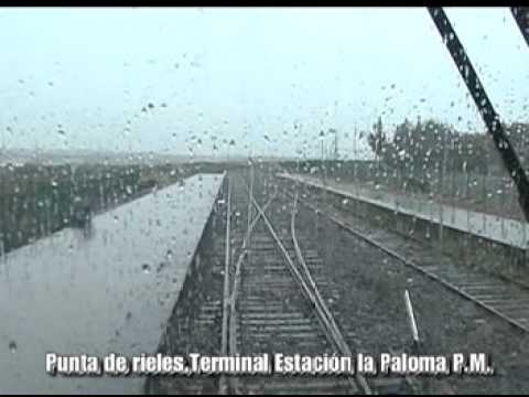 Video: Plancha De Alerce (33 Fotos): Plancha Biselada Y Recta, Cepillada Y Teñida De Alerce Siberiano 140x20 Y Otros Tamaños