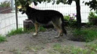 MVI_7008.AVI