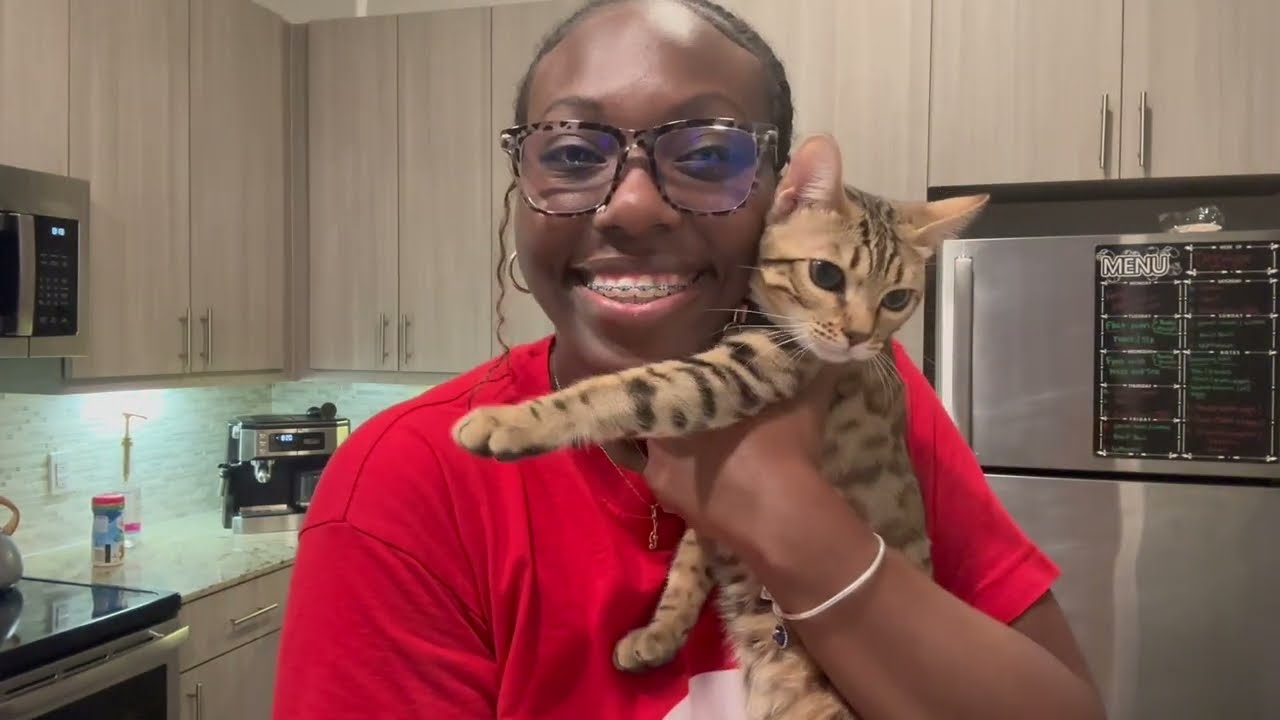 Solo Living Diaries: StoryTime!!!..I went to Ollie's for the first time!