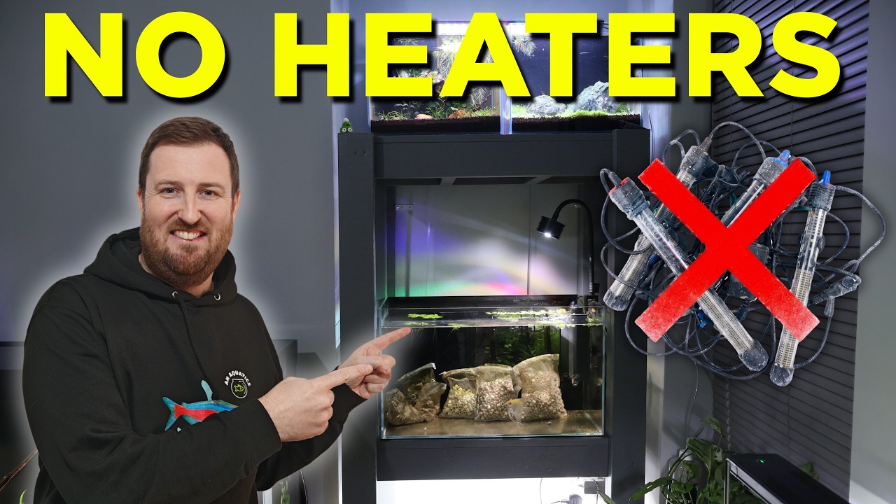 I'm Removing Every Heater From This Rack...Here's Why