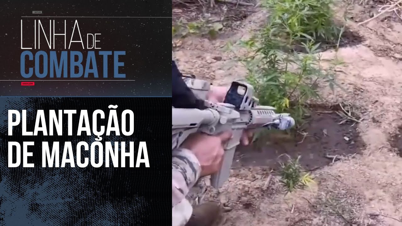 MACONHA NO SERTÃO: POLÍCIA FAZ OPERAÇÕES CONTRA PLANTAÇÕES E TRÁFICO DE DROGAS | MELHORES MOMENTOS