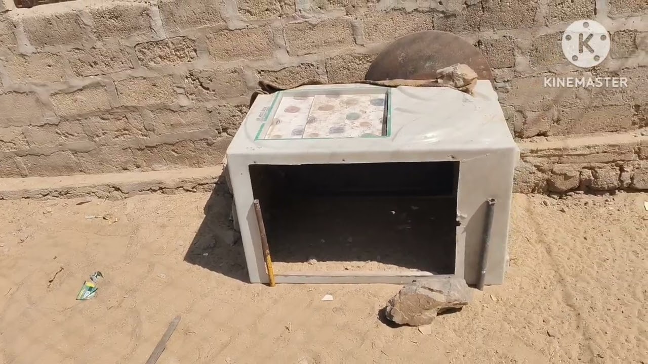 मुर्गी ##फार्म#राजस्थान#3🐓🐔🪽👏