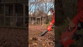 Double Blower Leaf Cleanup