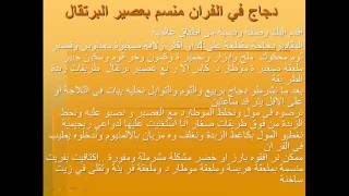 دجاج في الفران بعصير البرتقال