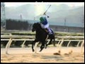 2013/03/24 福山競馬場　スライドショー