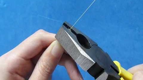 Hướng dẫn lắp đặt Rệp quang MS3 của Wonderful