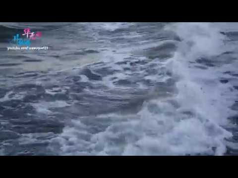 Video TIẾNG SÓNG BIỂN XÔ BỜ - ĐI VÀO GIẤC NGỦ VỚI ÂM THANH... - youtube