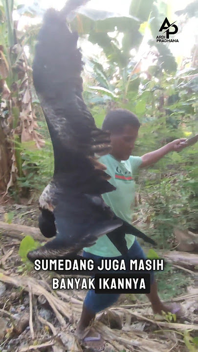 Part 2 Petualangan Seru Di Hutan Burung Raksasa #petualangan #bolang #berburu #burung #laut
