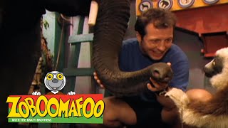 Zoboomafoo 101 - The Nose Knows (Full Episode)